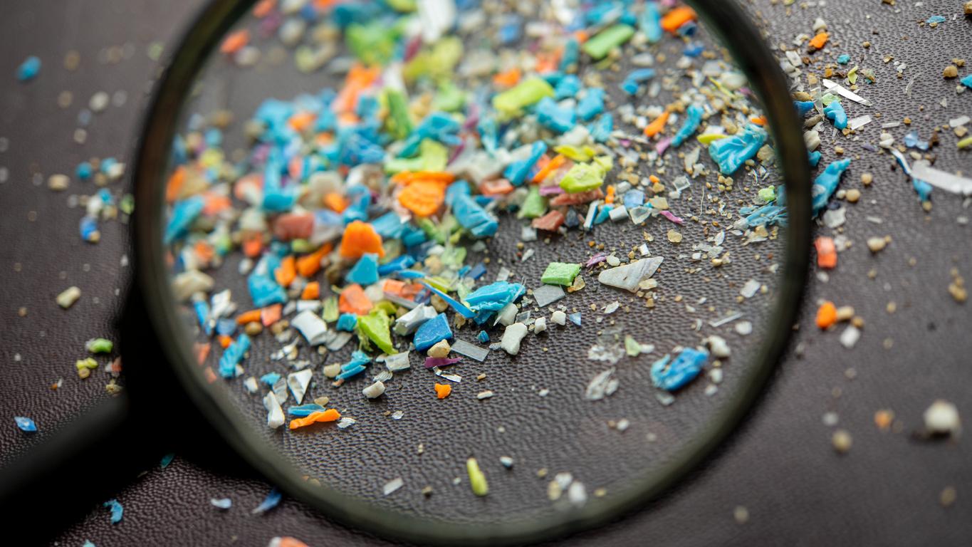 Les microplastiques peuvent-ils provoquer des réactions allergiques ?