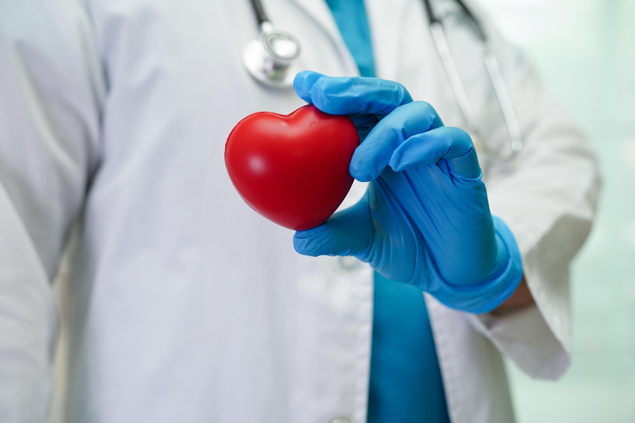 Maladies cardiaques : la forme de votre cœur peut prédire vos risques 