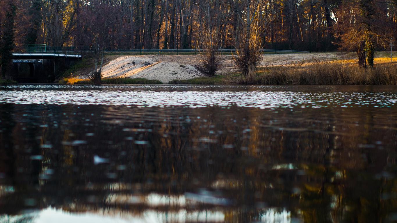 Amibe tueuse résistante au chlore : faut-il s’inquiéter ?