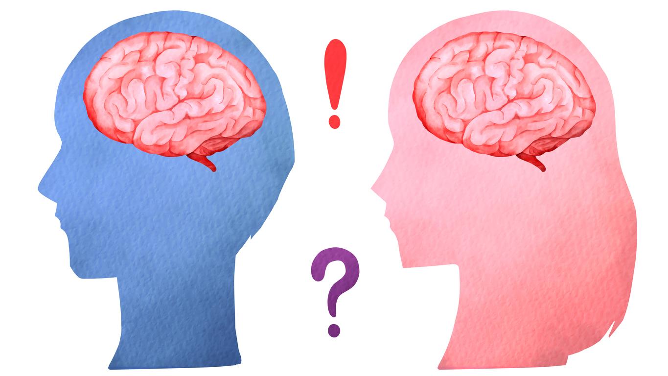 Le cerveau humain est-il genré ?