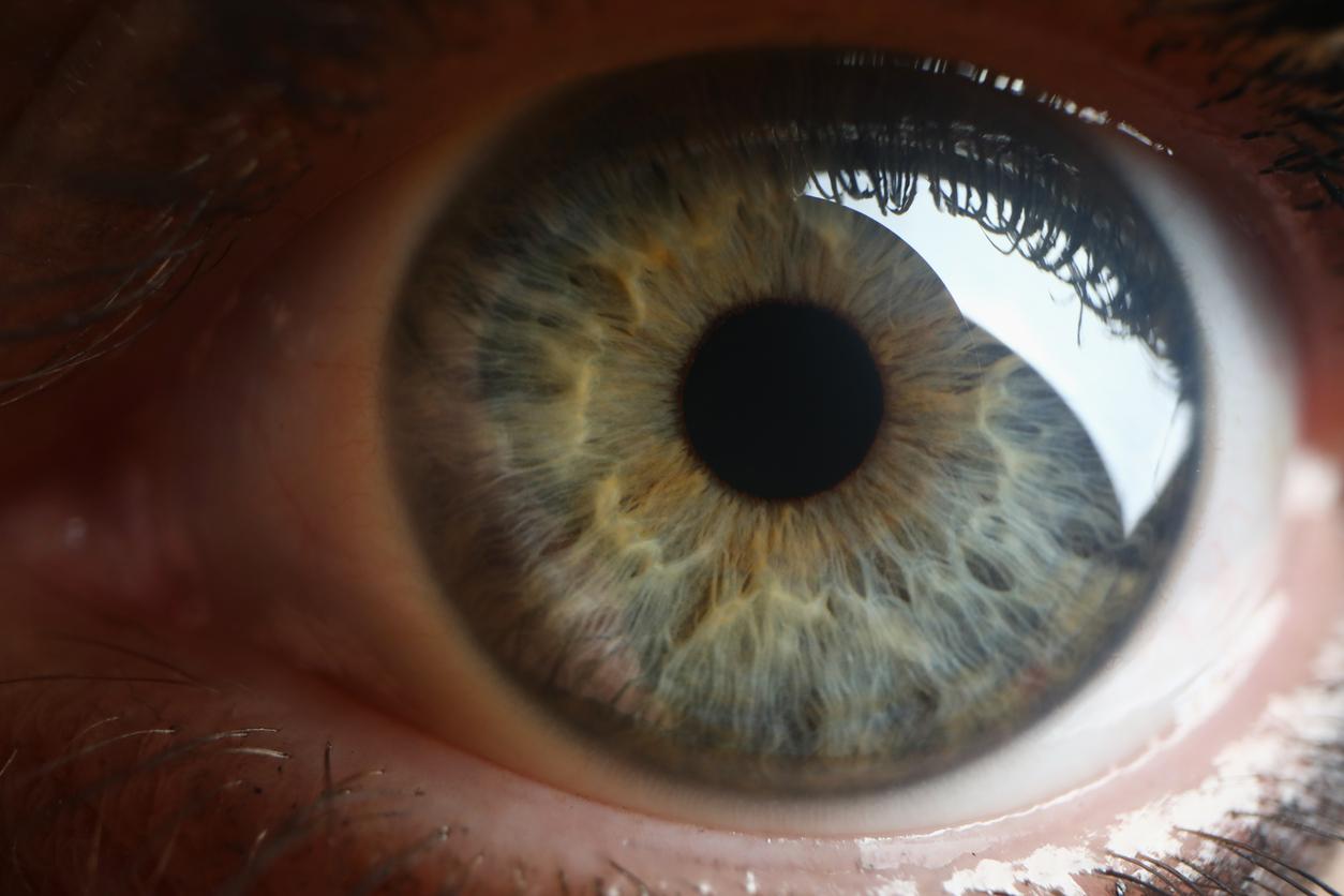 Risque de démence : un scanner oculaire alimenté par l’IA peut le prédire