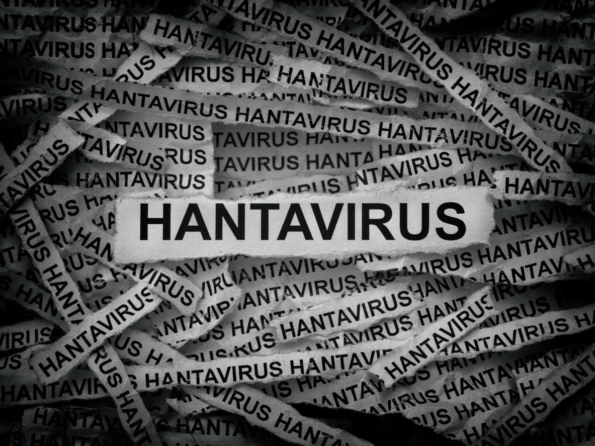 Hantavirus : comment l’Argentine a traité l’épidémie de 2019