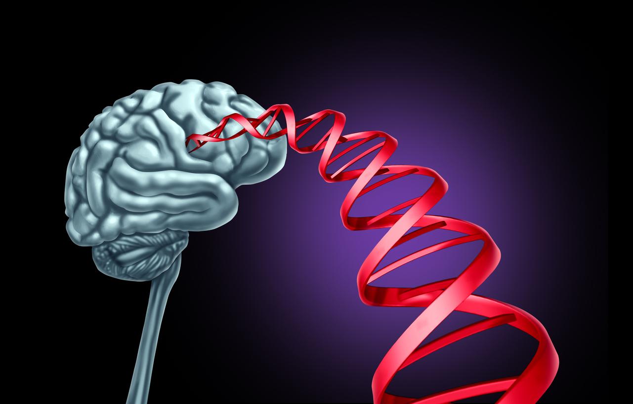 Épilepsie génétique : un diagnostic rapide dès la naissance améliore les soins