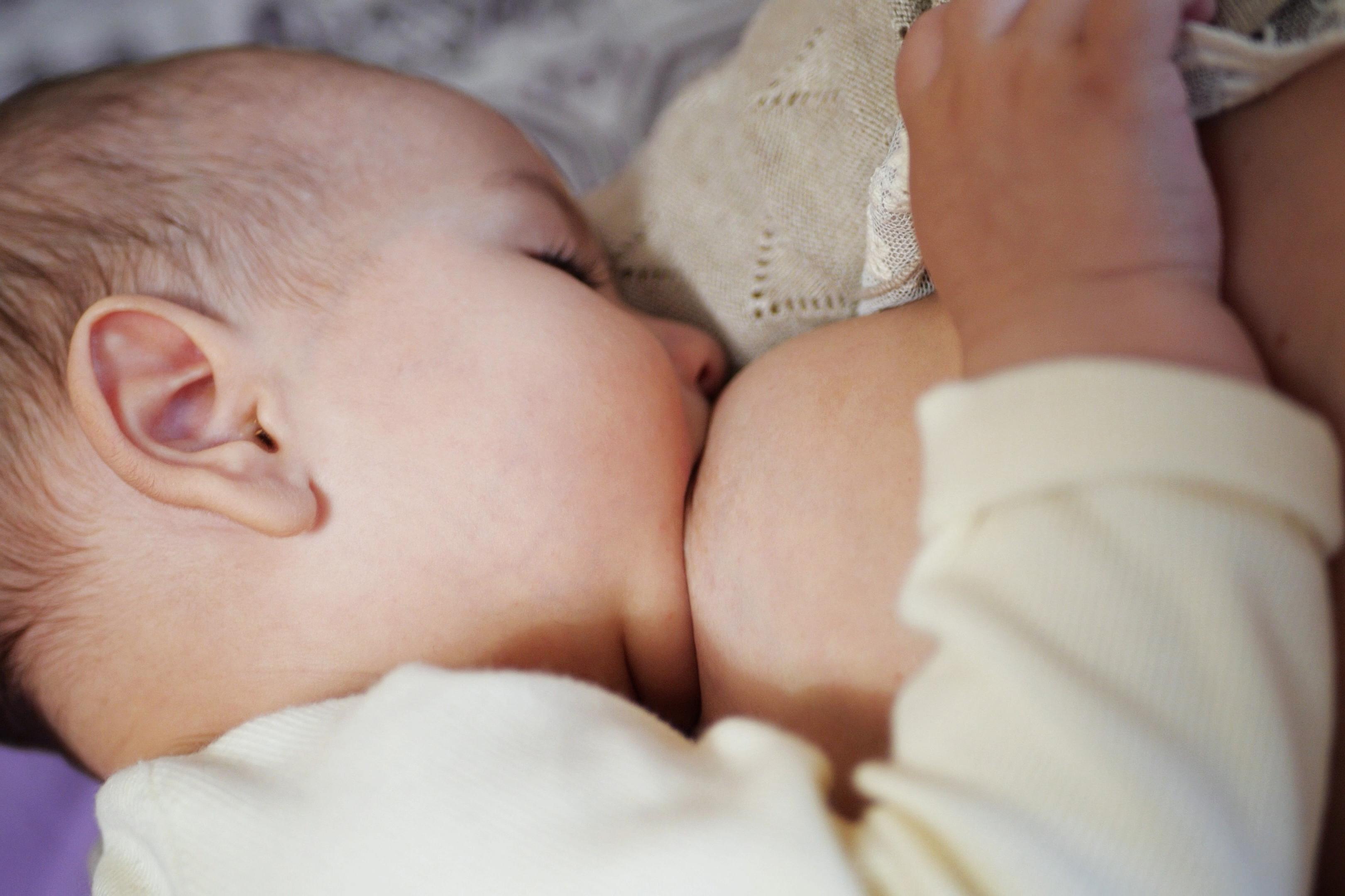 Obésité maternelle : plusieurs facteurs impactent l'allaitement