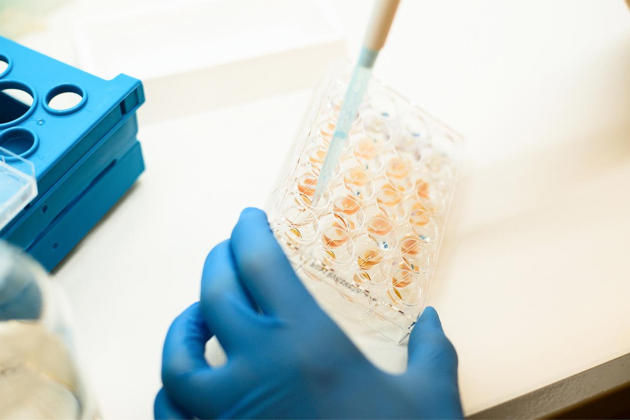 La transplantation fécale est-elle vraiment sans danger ?