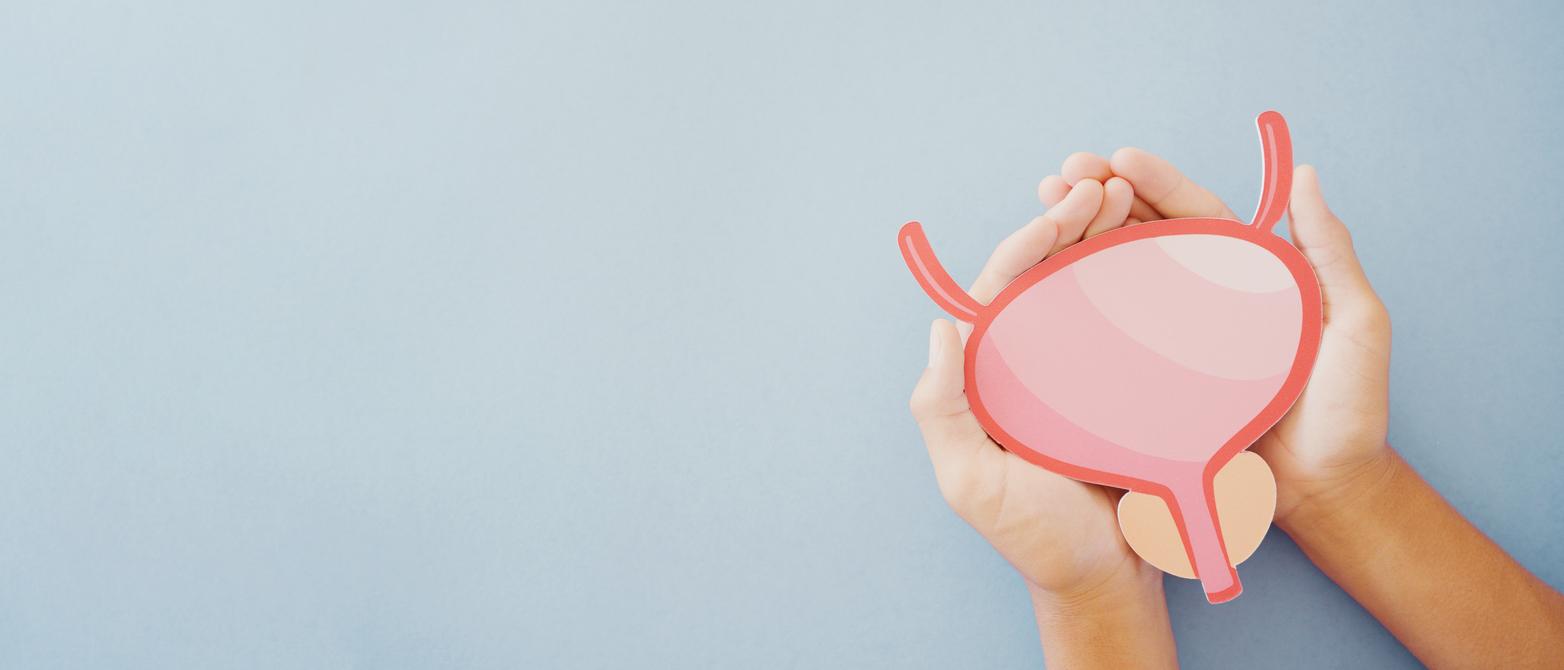 Cancer de la vessie : ce capteur est 180 fois plus sensible que les dépistages traditionnels