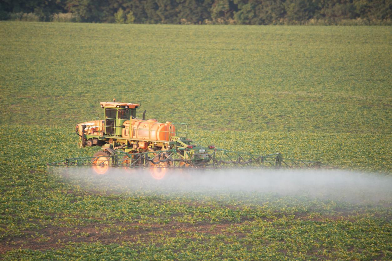 Parkinson : ce pesticide double les risques de développer la maladie
