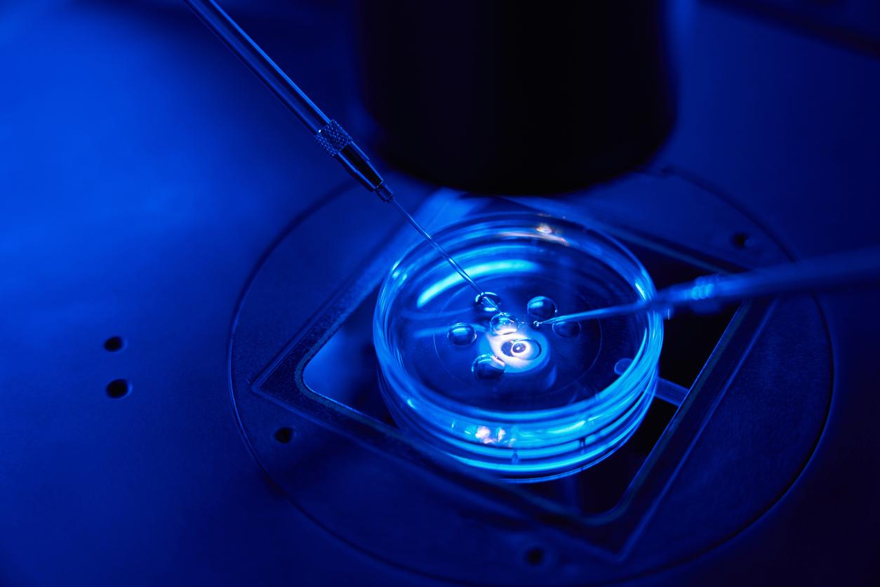 Une cellule de peau transformée en ovule fonctionnel par des chercheurs