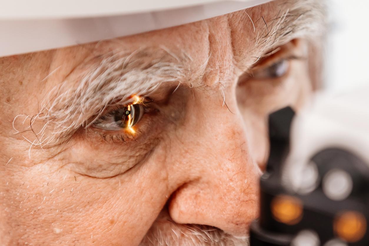 Cette IA détecte les maladies en regardant vos yeux