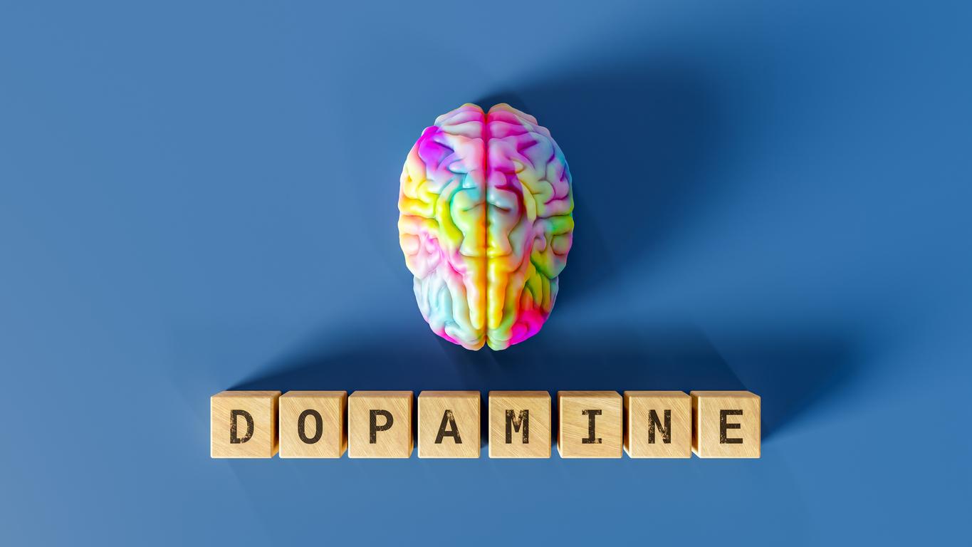 Cerveau : peut-on vraiment se désintoxiquer de la dopamine ?