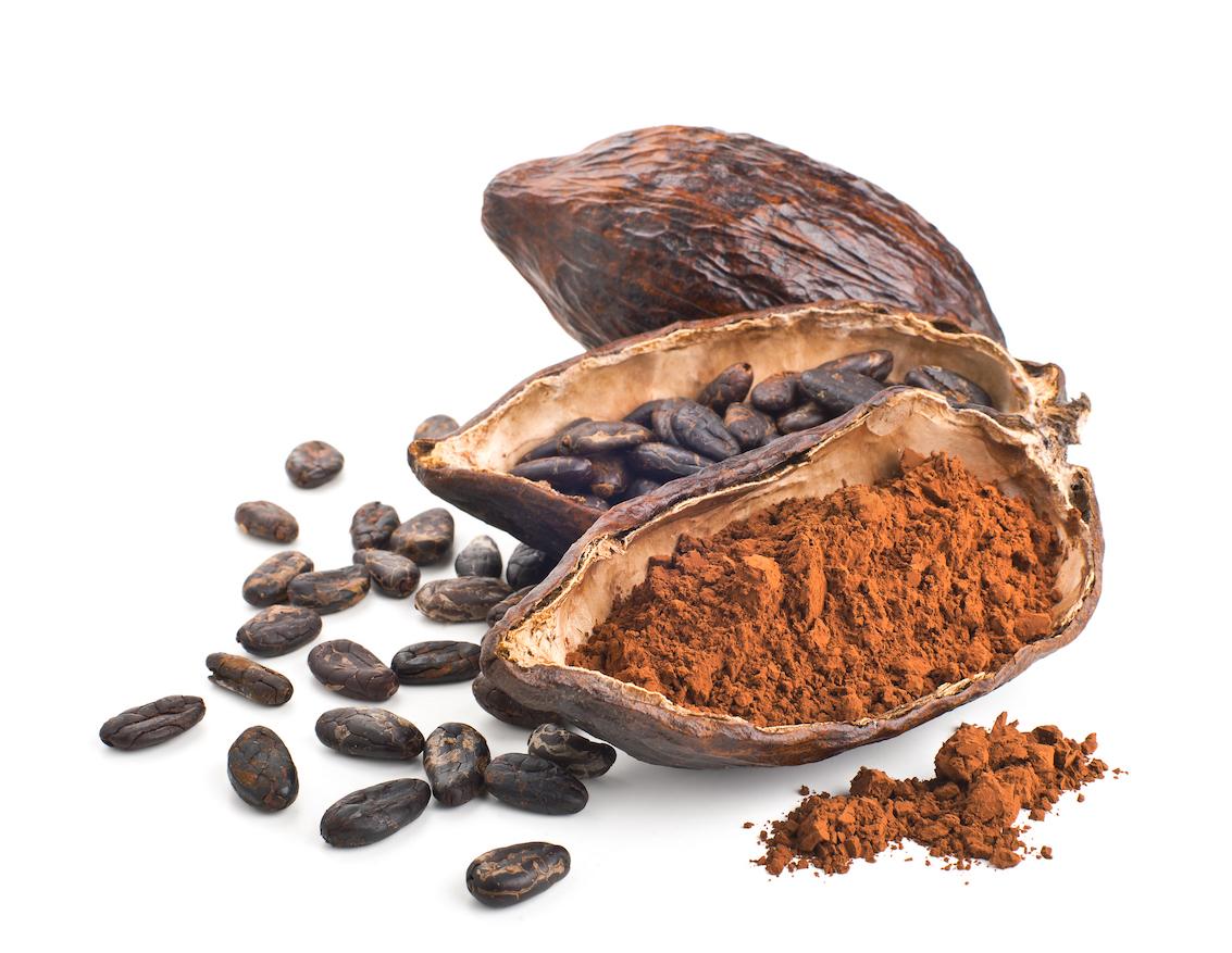 Cacao : un composant de ses fèves stimulerait la mémoire 