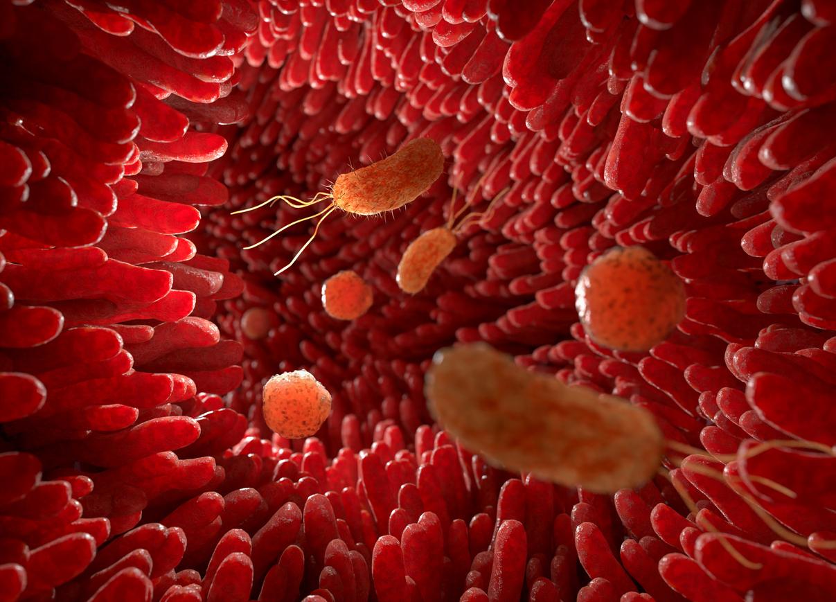 Asthme et allergies : la solution dans le microbiote ?