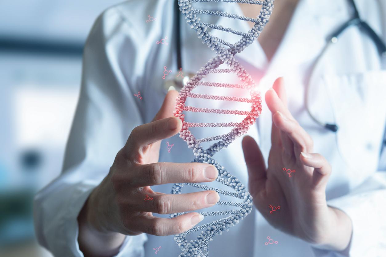 Une nouvelle maladie génétique qui touche les muscles, identifiée 