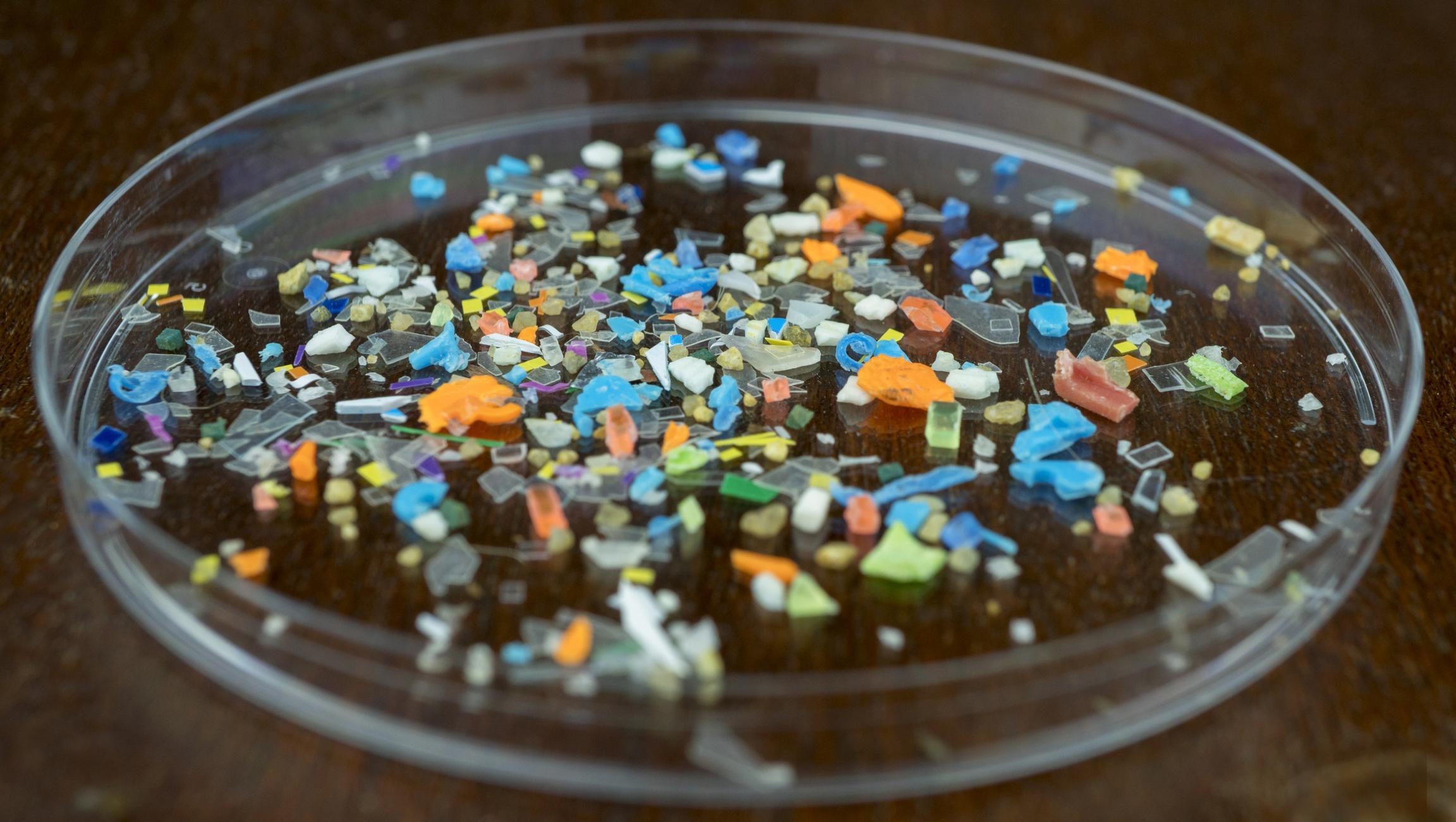 Maladies cardiaques : le rôle des microplastiques se précise