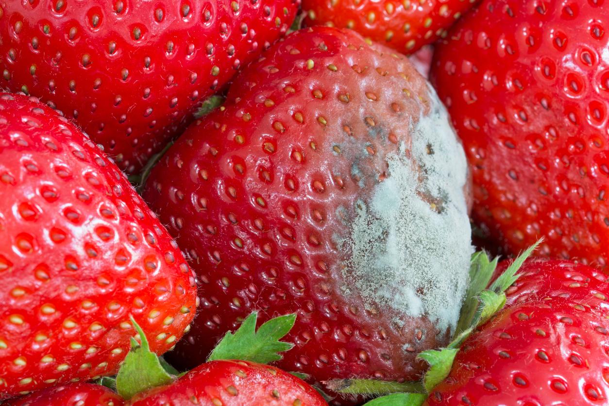 Peut-on encore manger un fruit qui commence à pourrir ?