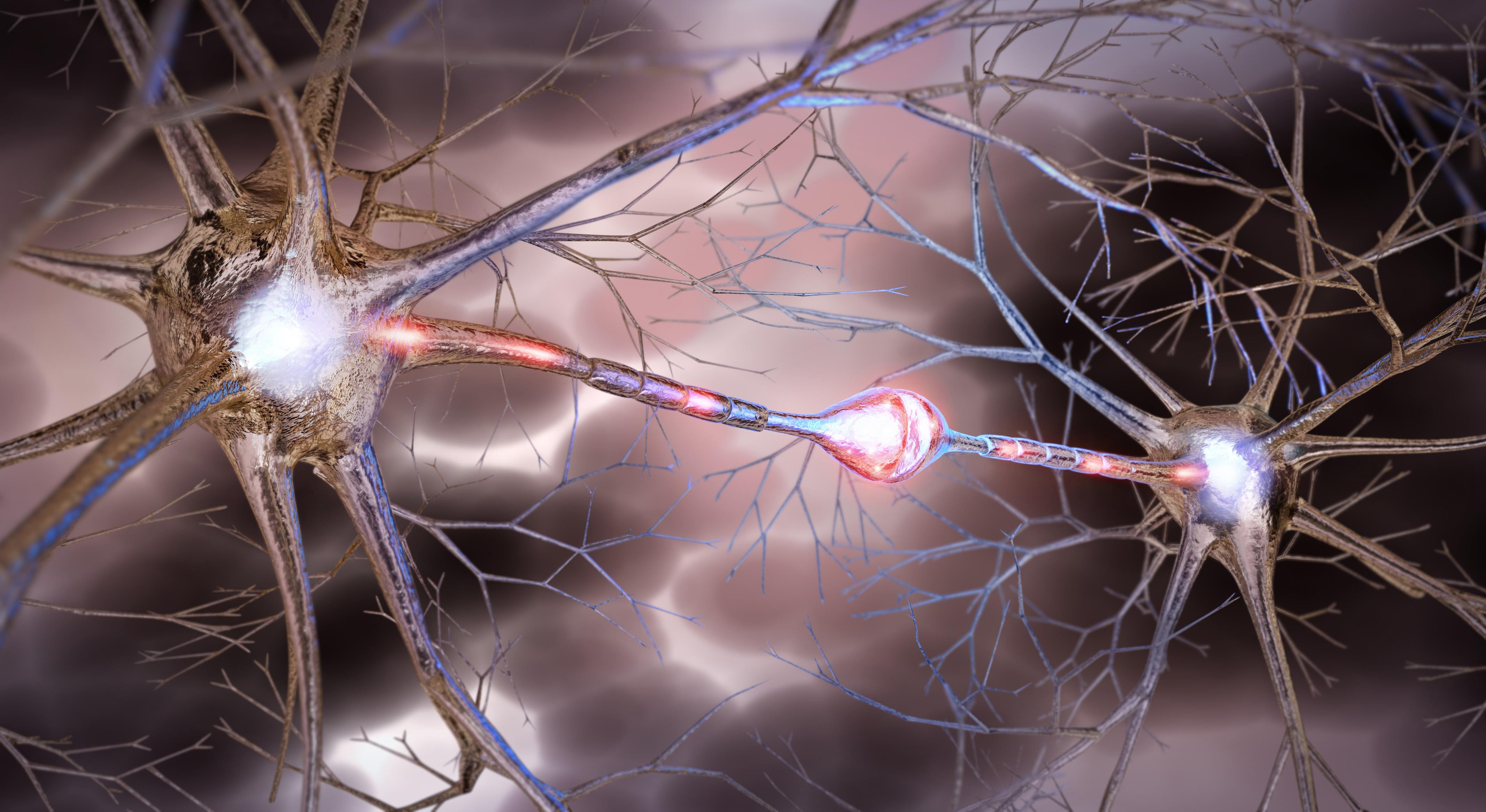 SEP : le risque génétique indépendant de l'origine ethnique