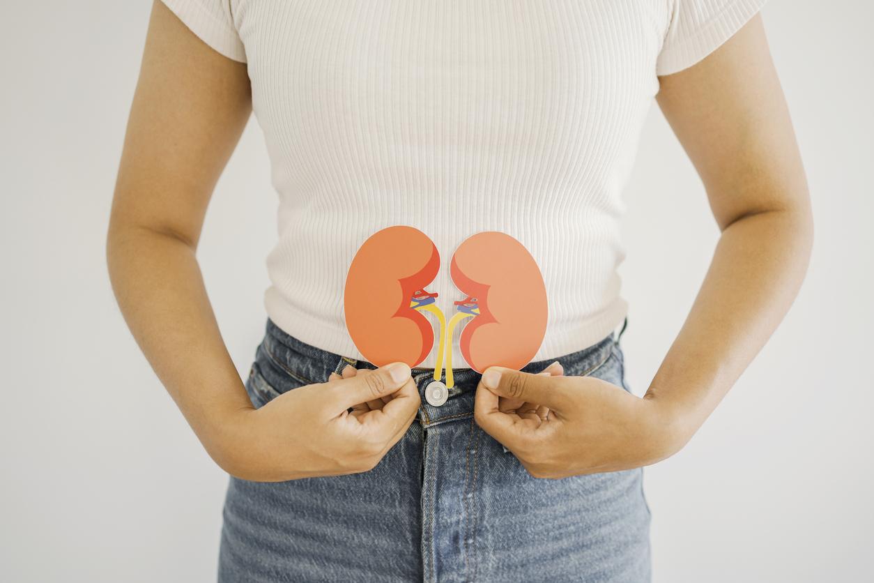 Problème rénal : ces signes qui doivent alerter