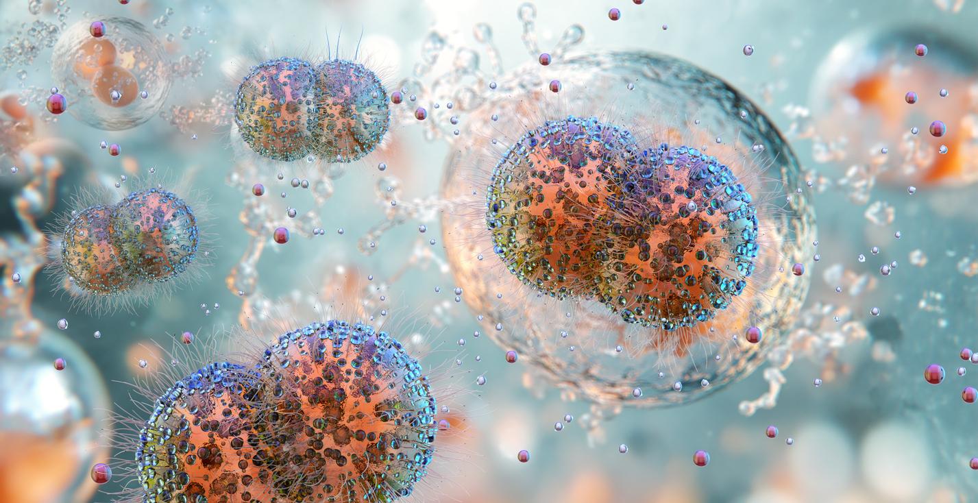 Gonorrhée multirésistance : un nouveau médicament prometteur