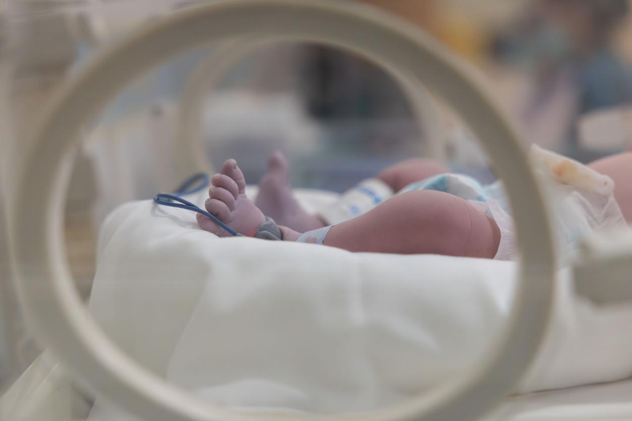 Méningite chez les nouveaux-nés : une technique pour désactiver l’agent pathogène chez la mère 
