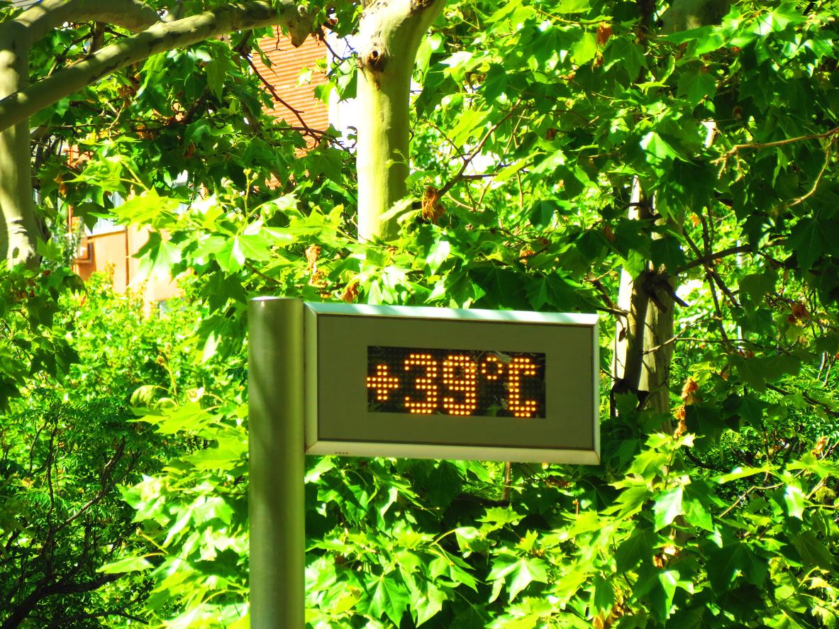 Canicule : derrière les records de chaleur, un record de décès