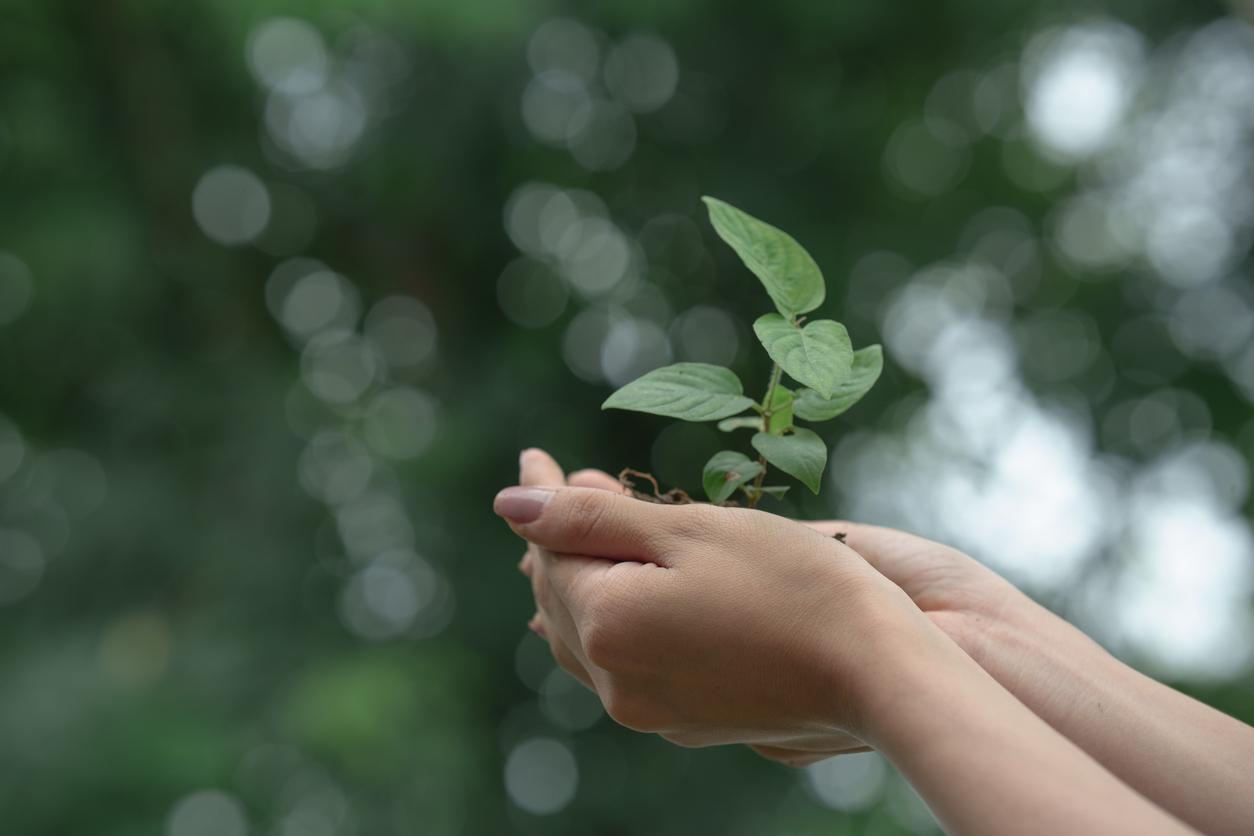 One Health : notre santé dépend aussi de celle de la planète