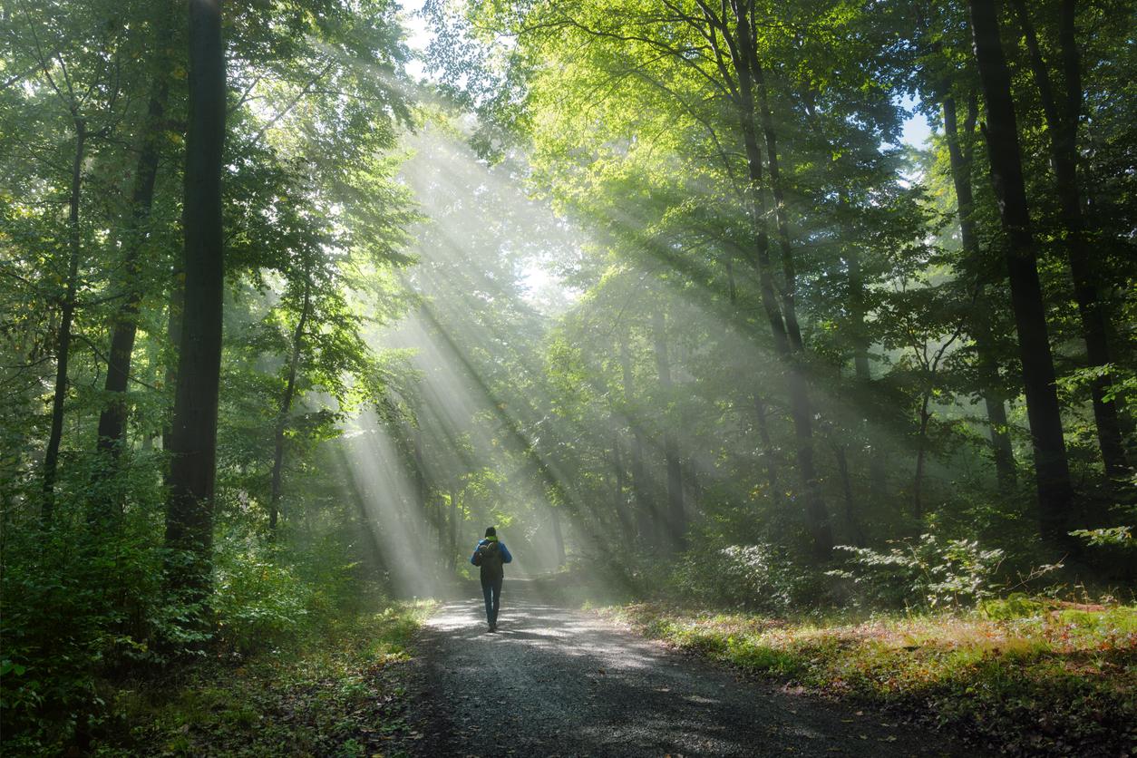 Santé mentale : on sait comment la nature améliore notre bien-être