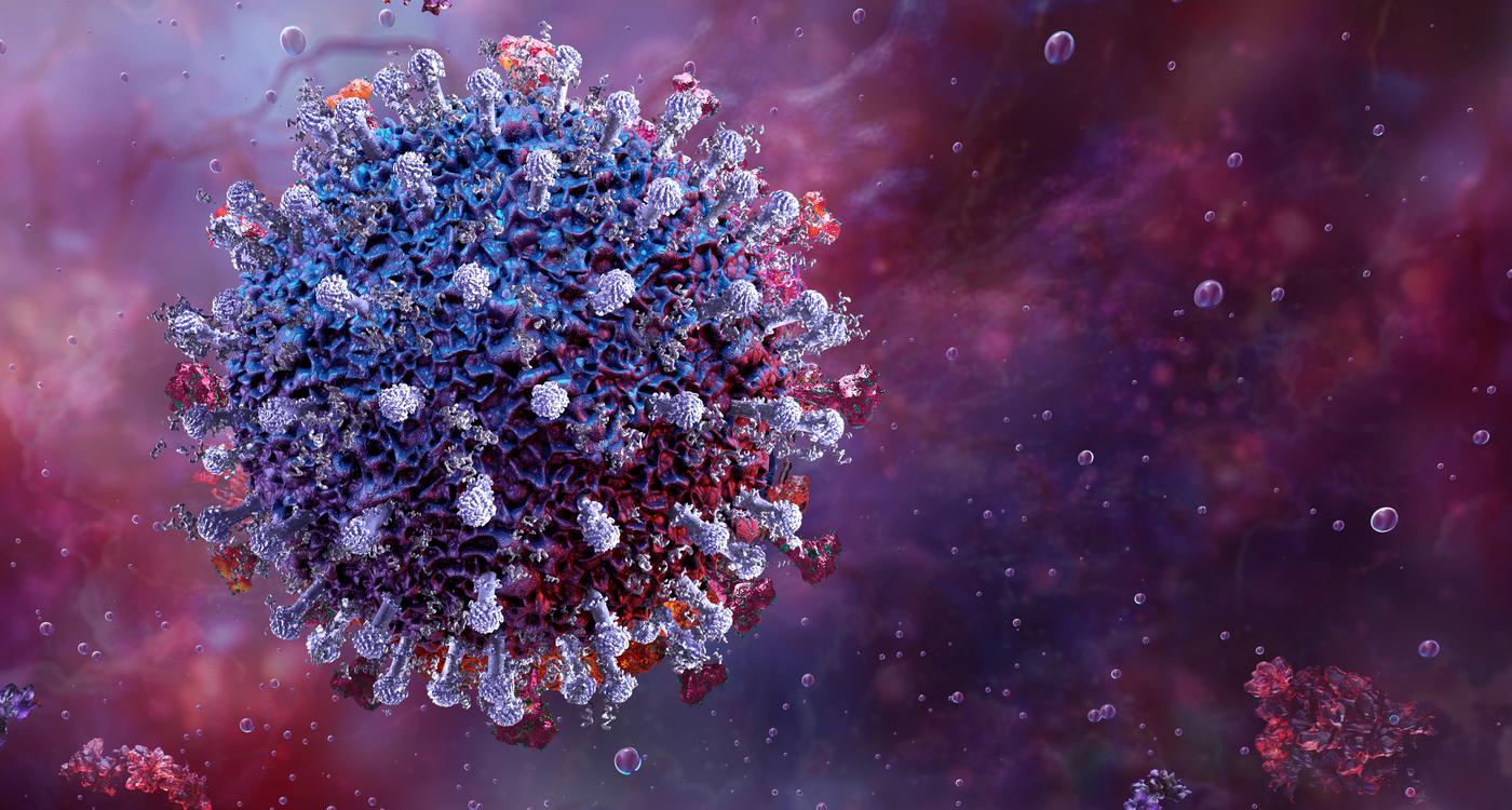 Maladies rénales : cette infection courante augmente fortement les risques