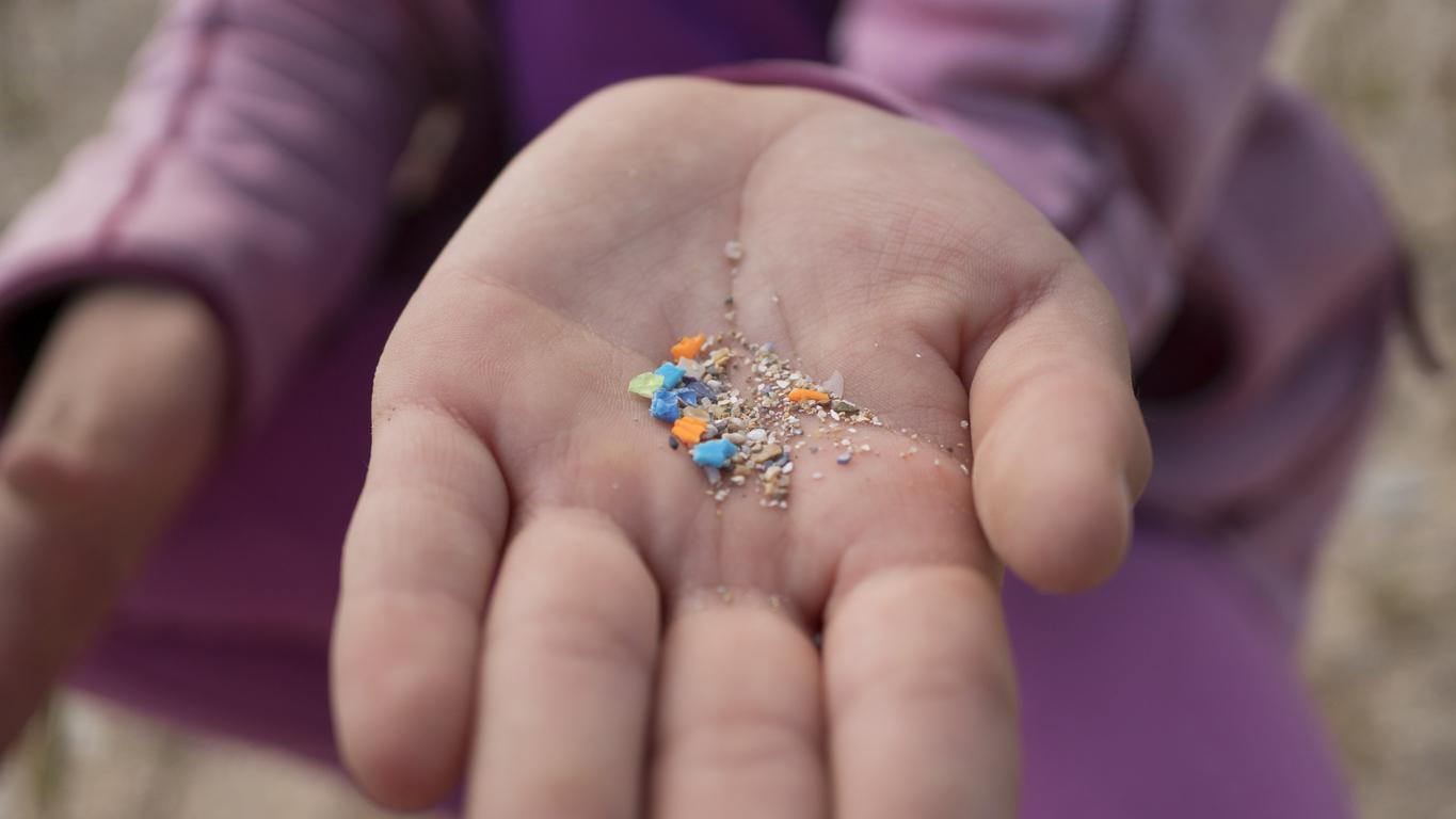 Comment les microplastiques perturbent le développement du fœtus