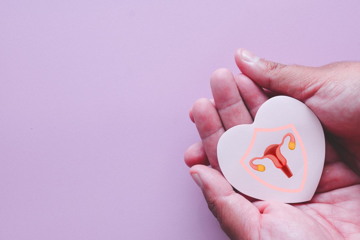 Les fibromes utérins sont liés à un risque accru de maladies cardiaques
