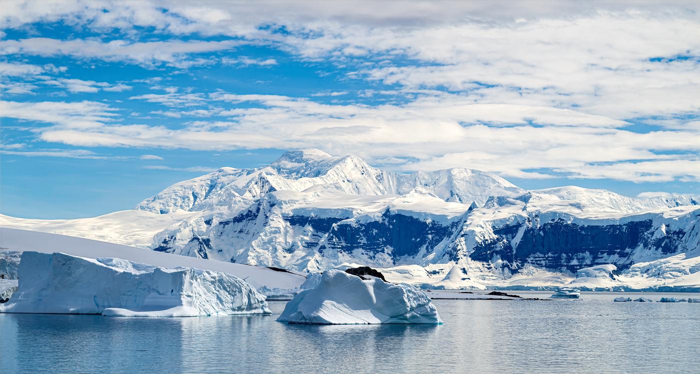 Mélanome : la clé d’un traitement pourrait se cacher dans les fonds de l'Antarctique