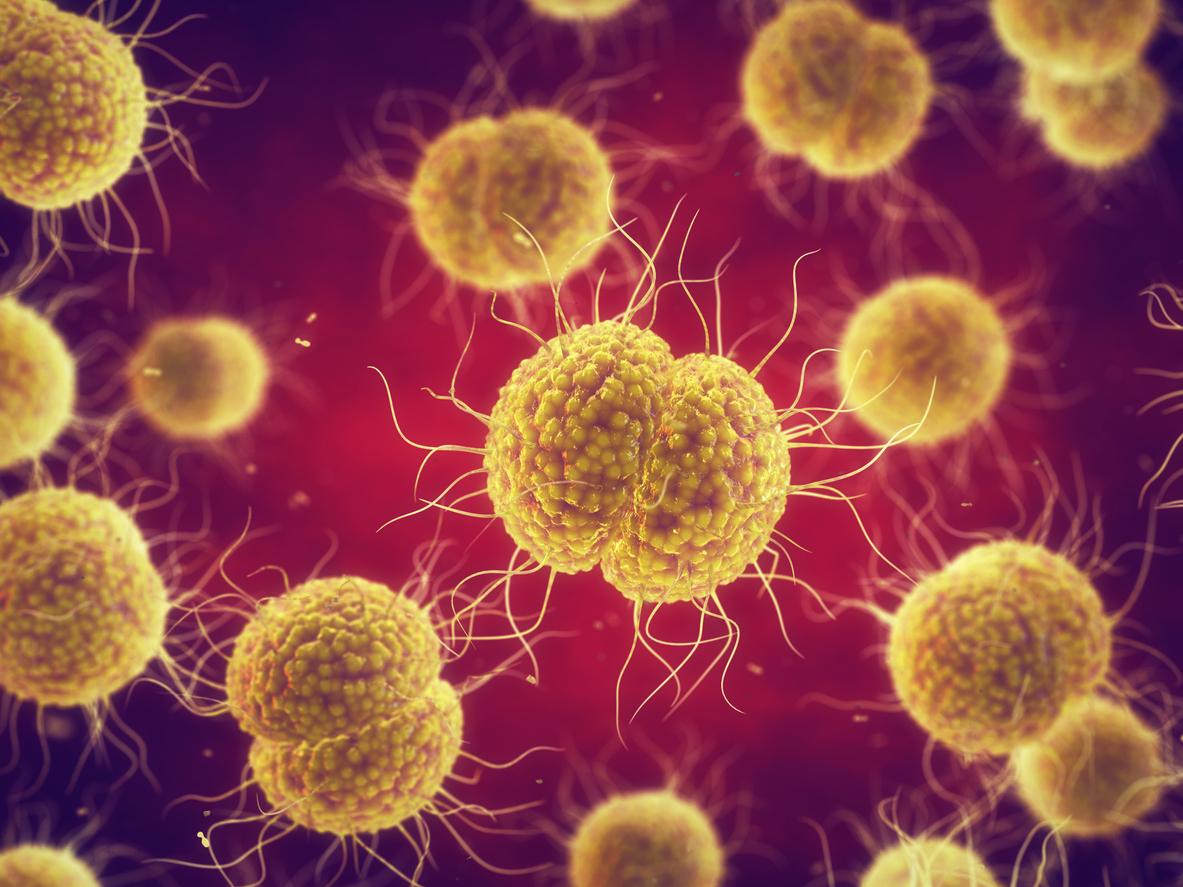 Gonorrhée résistante aux médicaments : une hausse des cas inquiétante en Europe