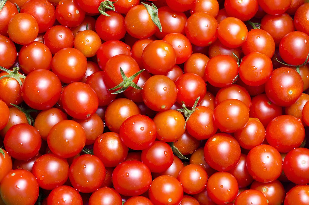 Salmonellose : une épidémie en Europe liée à des tomates cerises ? 