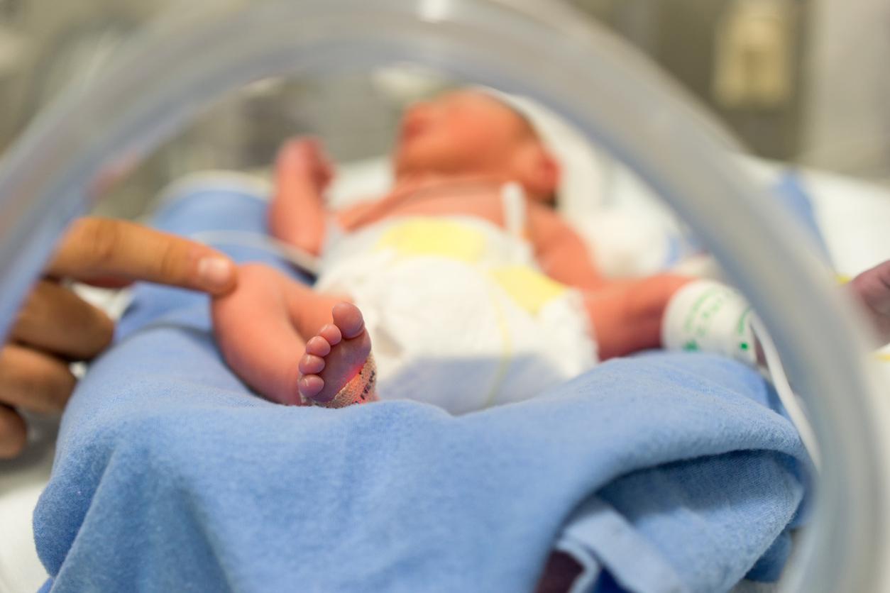 Une nouvelle charte pour la prise en charge des nouveau-nés hospitalisés 