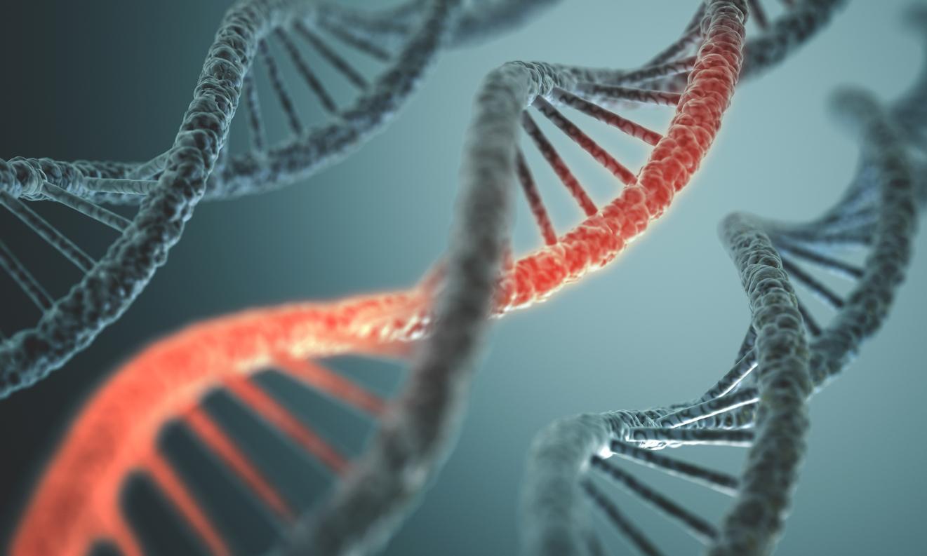 Cancer : un patient sur huit présente une mutation génétique héréditaire