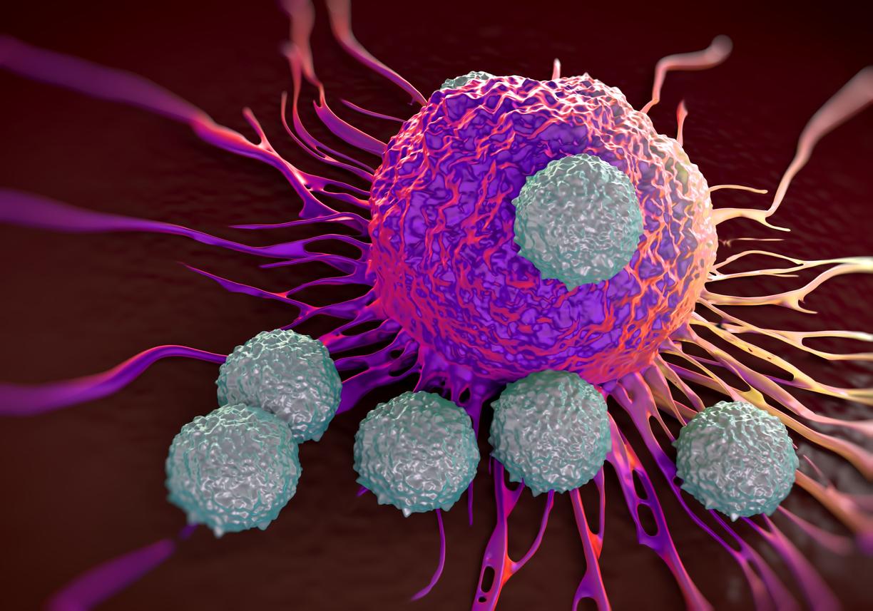 Cancer : les cellules immunitaires modifiées pour combattre les tumeurs