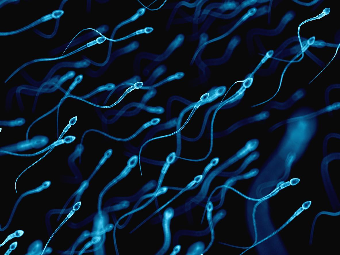 La Covid-19 altérerait la qualité du sperme des malades