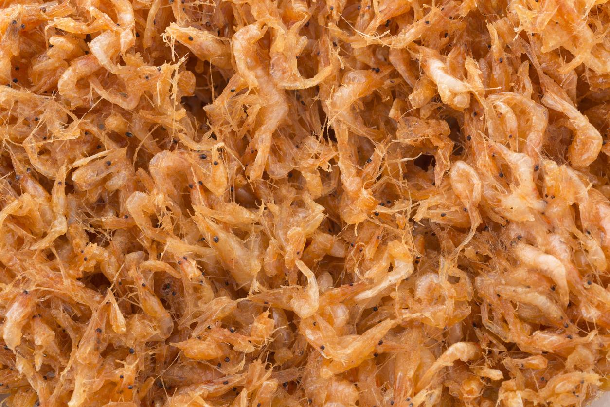 Bilharziose : comment l'élevage des crevettes d'eau douce pourrait venir à bout de la maladie 