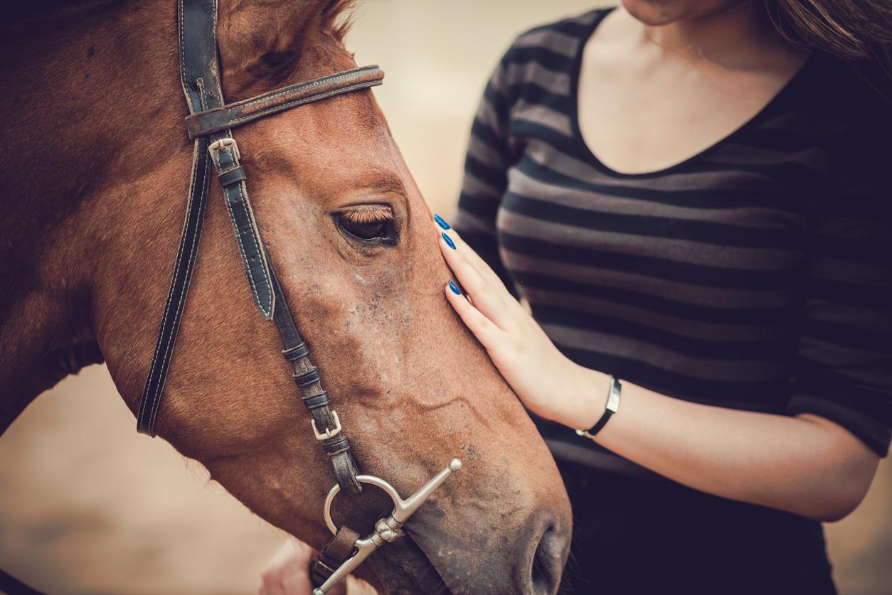 Equicoaching : “La relation avec le cheval devient le miroir de notre comportement”