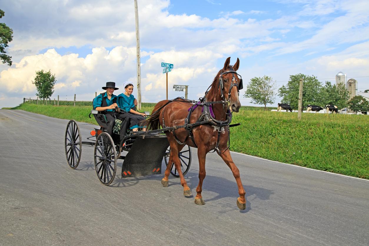 Impact de la 5G sur la santé : et si les Amish avaient raison ?