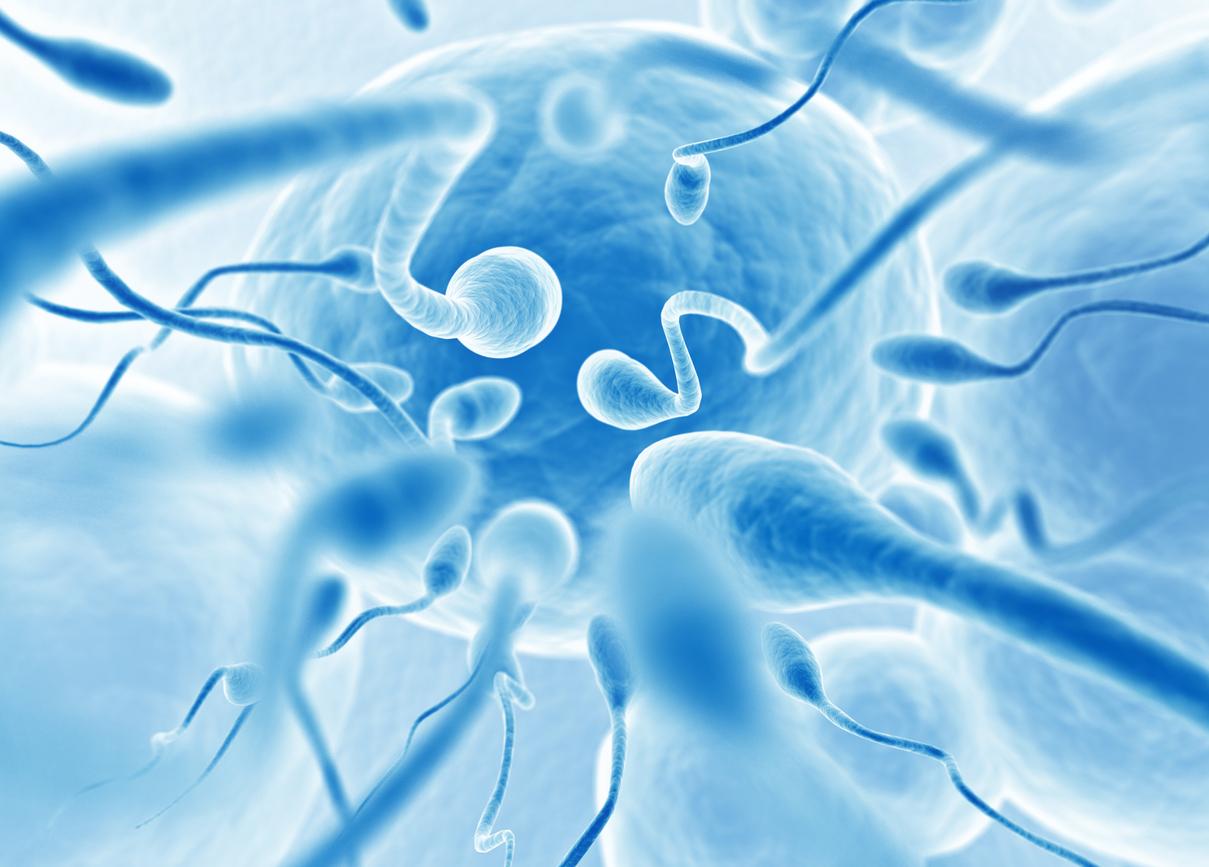 Causes d'infertilité : ce que dit le rapport remis à Olivier Véran et Adrien Taquet