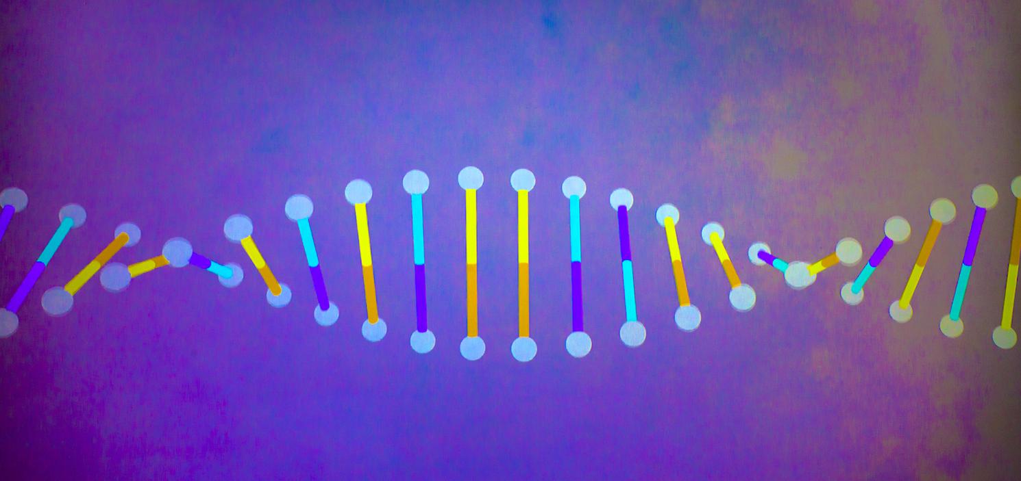 Premier séquençage complet d’un génome humain : à quoi cela peut servir ?