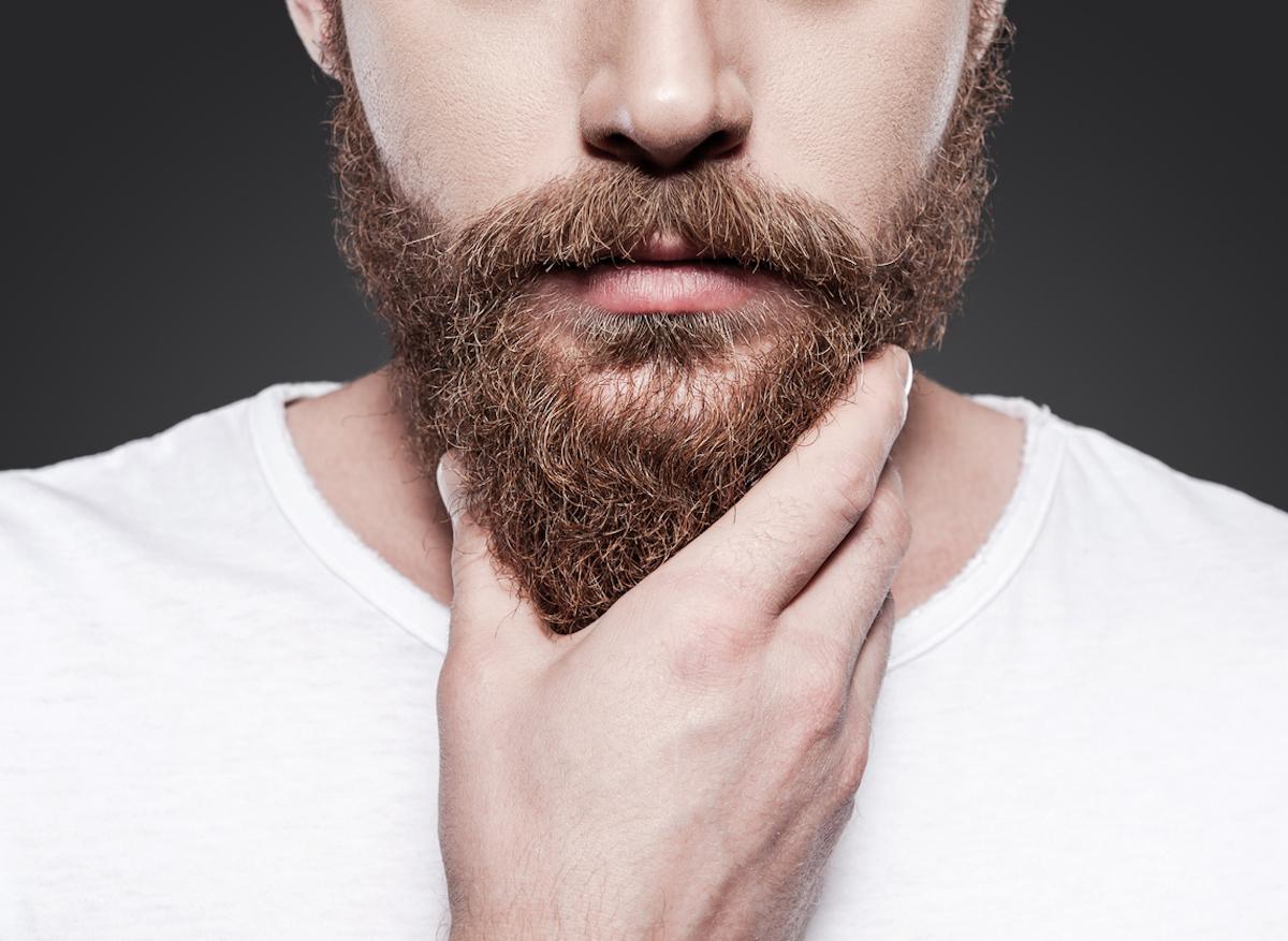 La barbe des hommes contiendrait plus de bactéries que le pelage des chiens