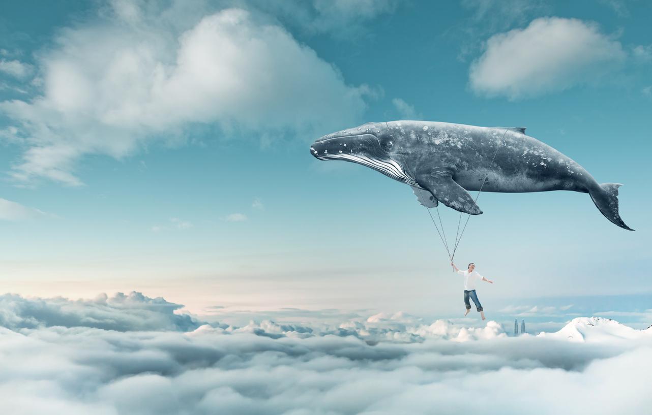 Qu’est-ce vos rêves disent de vous ?