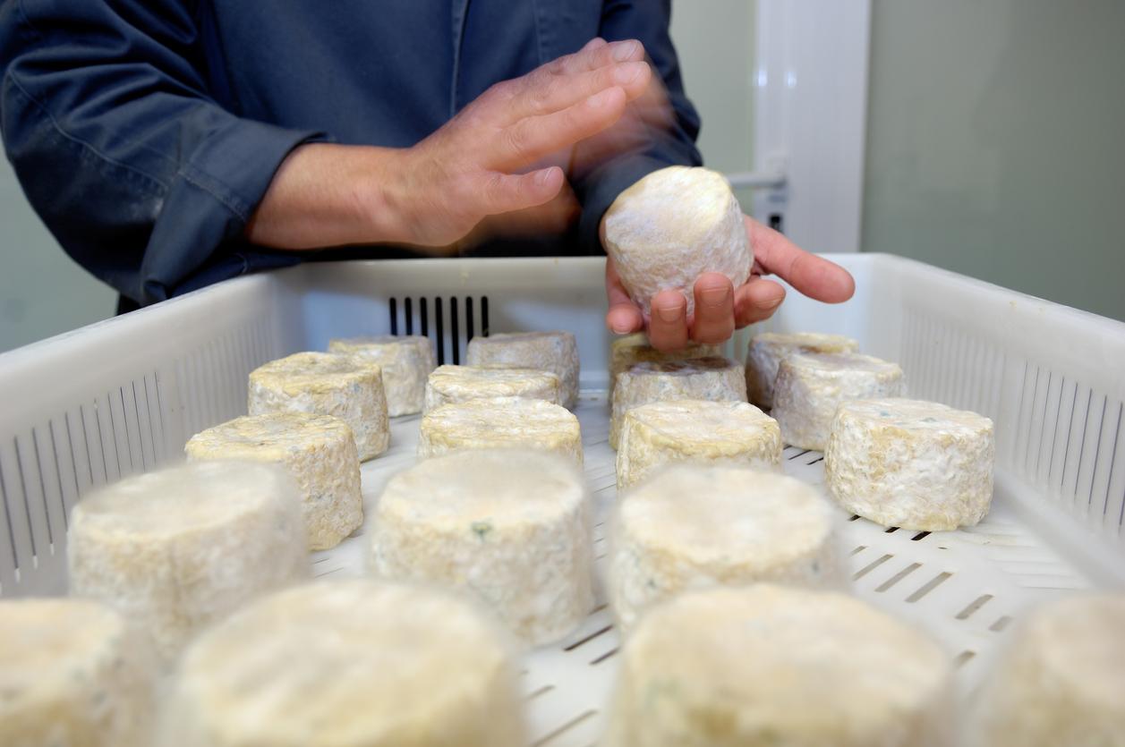 Risque de listériose : rappel de fromages Castérieu dans 6 départements