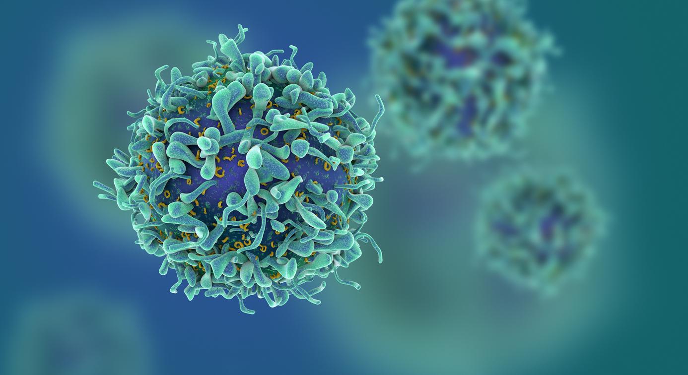 Diabète de type 1 : l’analyse des lymphocytes T permettrait un traitement préventif