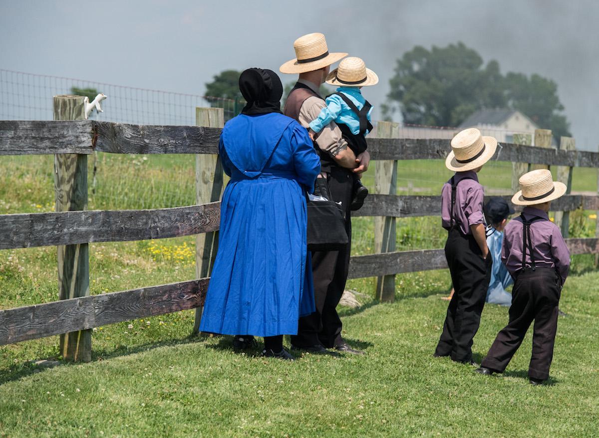  Pourquoi les Amish sont mieux protégés face au risque de maladie cardiaque ?