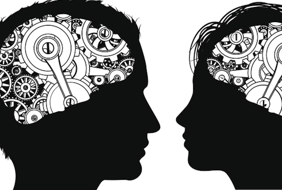 Cerveau : un mécanisme pourrait expliquer les différences comportementales entre hommes et femmes