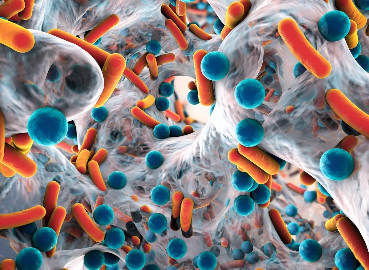 Dix millions de morts par an en 2050 : la résistance aux antibiotiques, prochaine catastrophe sanitaire ?