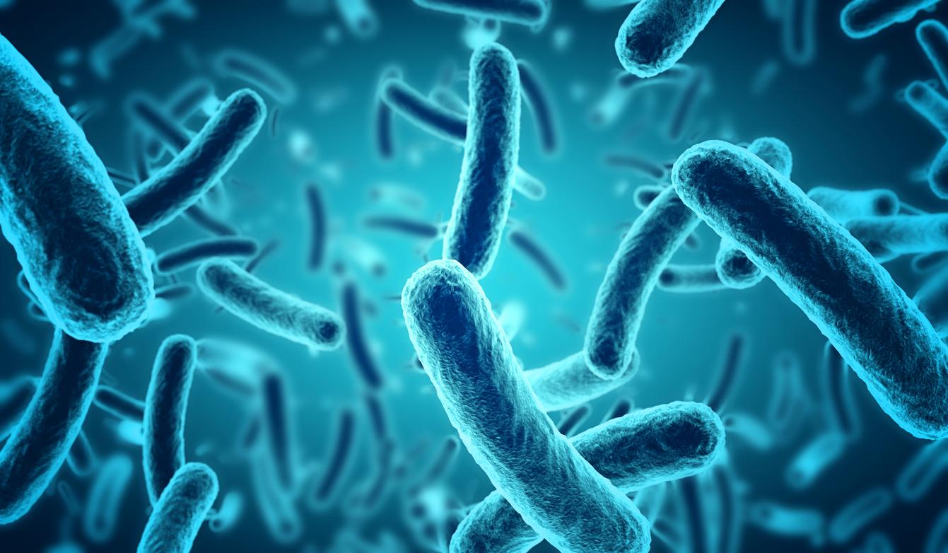 Malnutrition : le microbiote de la mère pourrait marquer la santé du bébé à vie