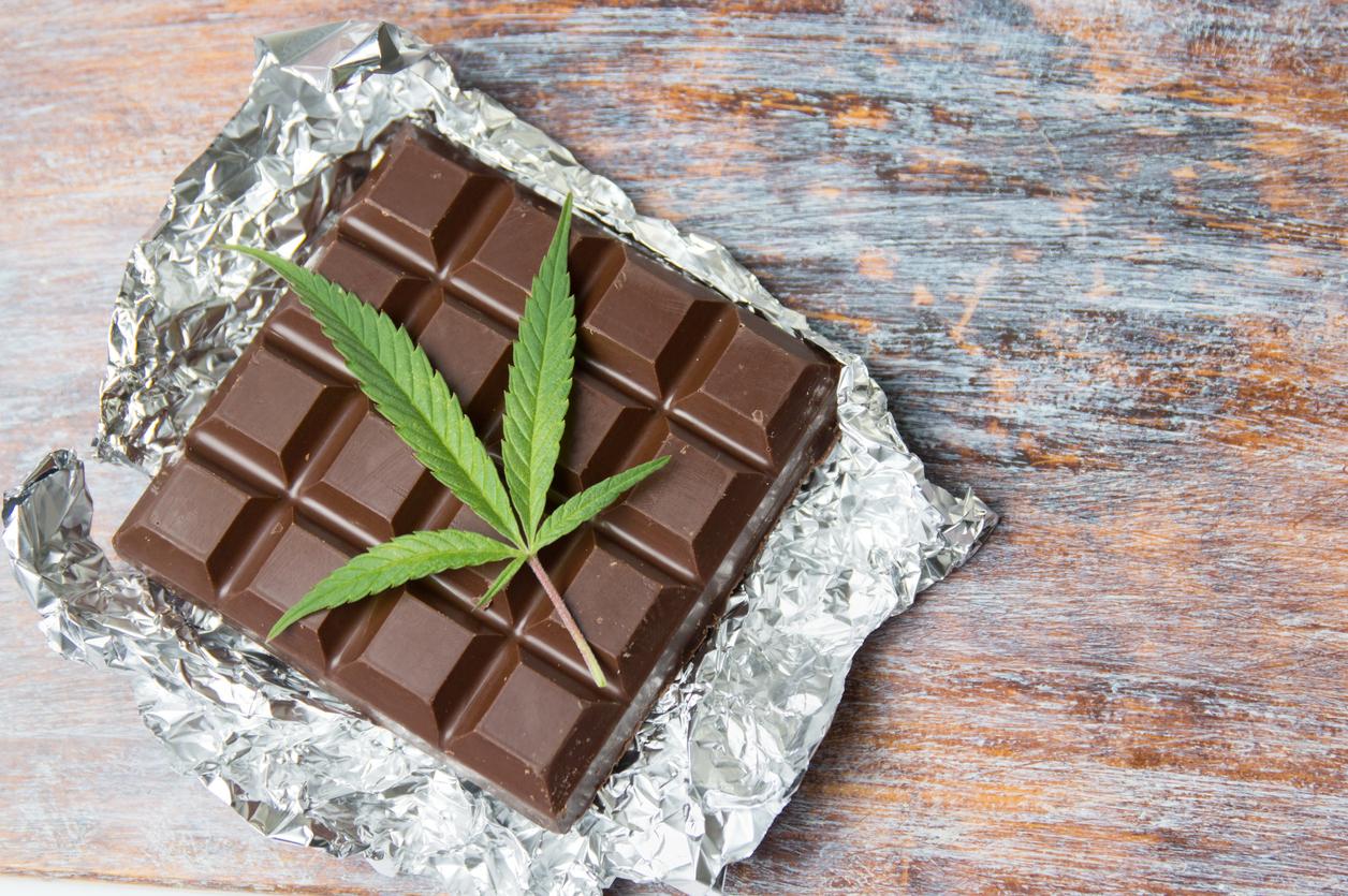 Bonbons au cannabis : les composés du chocolat pourraient brouiller les tests 